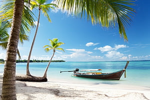 Tropical Island Beach Scene With Longtail Boat And Palm Trees HD wallpaper
