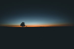 Minimalist Landscape Featuring a Solitary Tree Silhouette Against a Vibrant Sunset Horizon HD wallpaper