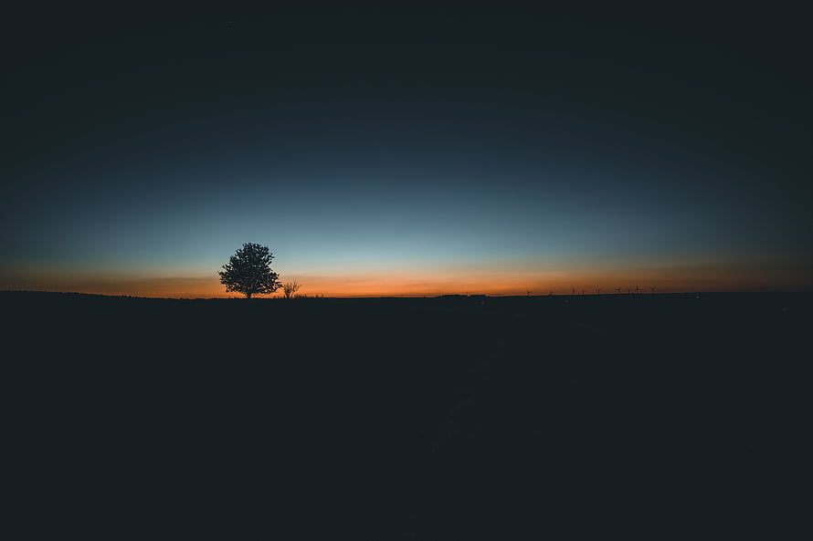 Minimalist Landscape Featuring a Solitary Tree Silhouette Against a Vibrant Sunset Horizon HD wallpaper
