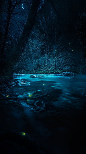 Enchanted Night Forest with Glowing Fireflies, Crescent Moon, and a Serene River HD phone wallpaper