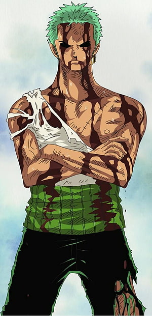 Roronoa Zoro Battle Wounded Anime Character Portrait HD phone wallpaper