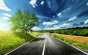 Winding Country Road Through Green Fields Under a Bright Blue Sky HD wallpaper