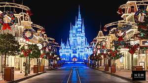 Cinderella Castle Christmas Night at Walt Disney World with Holiday Wreaths and Lights HD wallpaper
