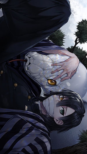 Obanai Iguro and Mitsuri Kanroji in Demon Slayer Anime Illustration HD phone wallpaper