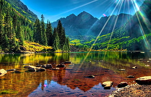 Sunlit Mountain Lake with Pine Forest and Rocky Shallows HD wallpaper