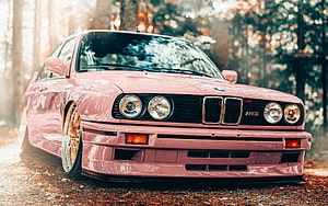 Pink BMW M3 E30 with Gold Wheels Parked in a Forest HD wallpaper
