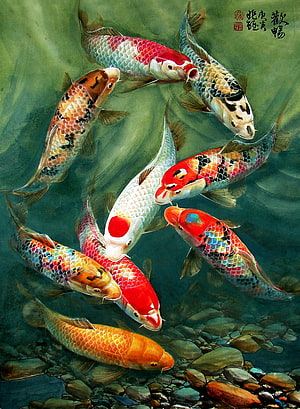 Traditional Chinese Painting of Nine Colorful Koi Fish Swimming in a Rocky Pond HD phone wallpaper