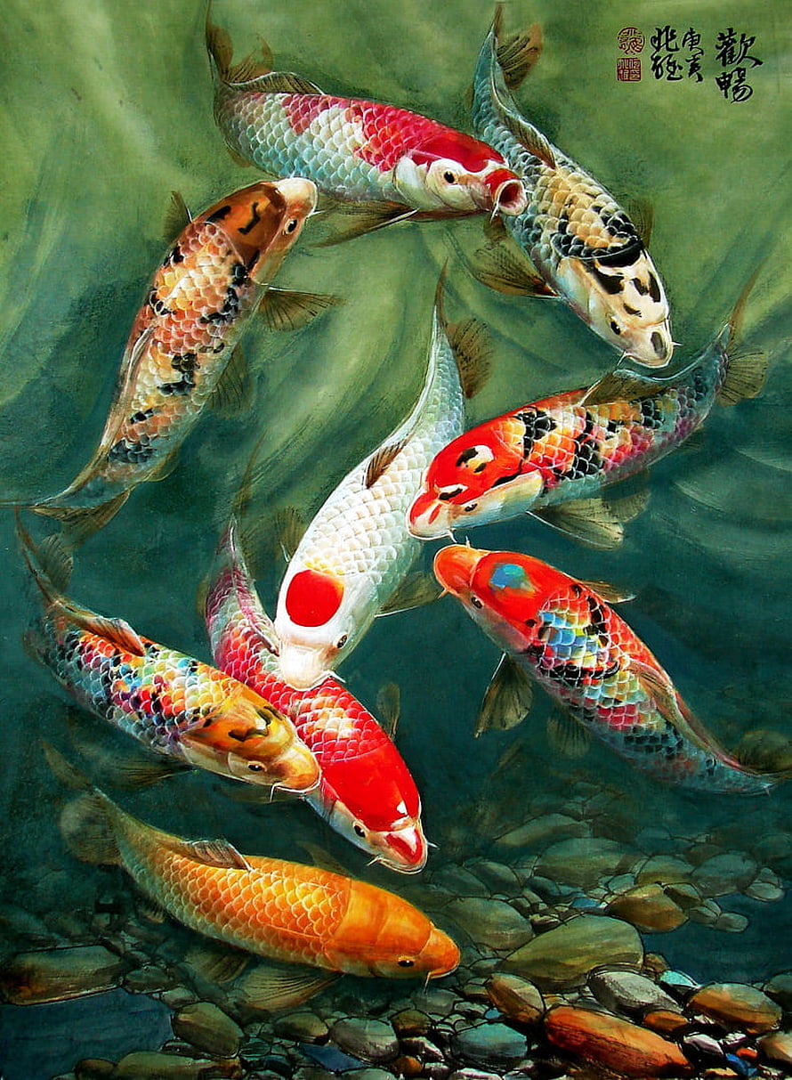 Traditional Chinese Painting of Nine Colorful Koi Fish Swimming in a Rocky Pond HD phone wallpaper