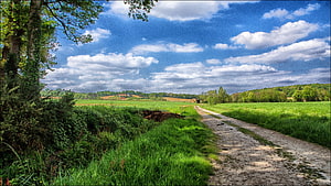 Rural Country Lane Winding Through Green Pastures Under a Bright Blue Sky HD wallpaper