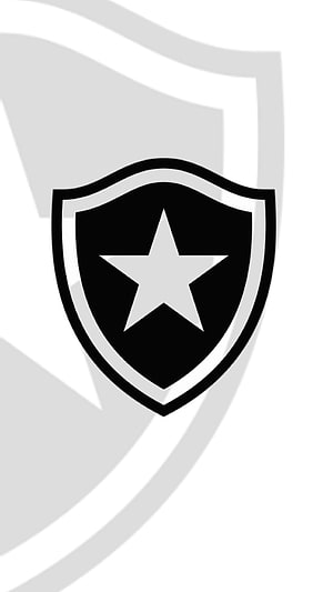 Botafogo Football Club Shield Emblem Minimalist Black and White Star Design HD phone wallpaper