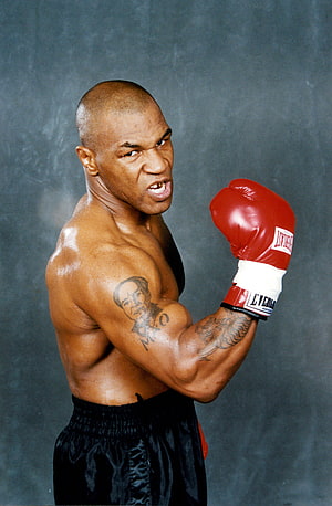 Mike Tyson in a Fierce Boxing Stance Wearing Red Everlast Gloves HD phone wallpaper