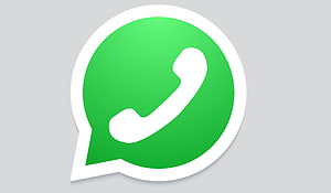 WhatsApp Green Speech Bubble Logo with White Phone Icon on Light Gray Background HD wallpaper