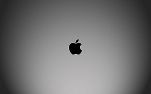 Minimalist Apple Logo on a Soft Gray Gradient Background HD wallpaper