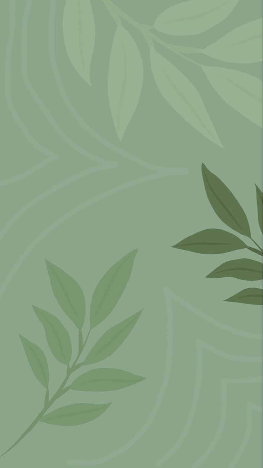 Minimalist sage green botanical wallpaper with soft leaf silhouettes and subtle organic line art HD phone wallpaper