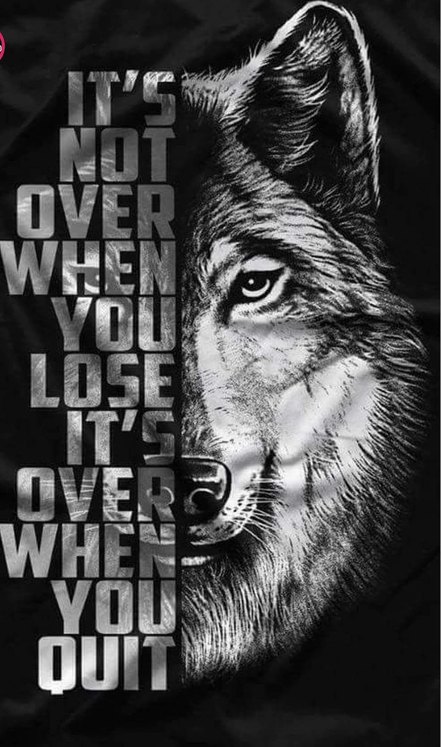 Black and White Alpha Wolf Portrait with Motivational Quote on Dark Background HD phone wallpaper