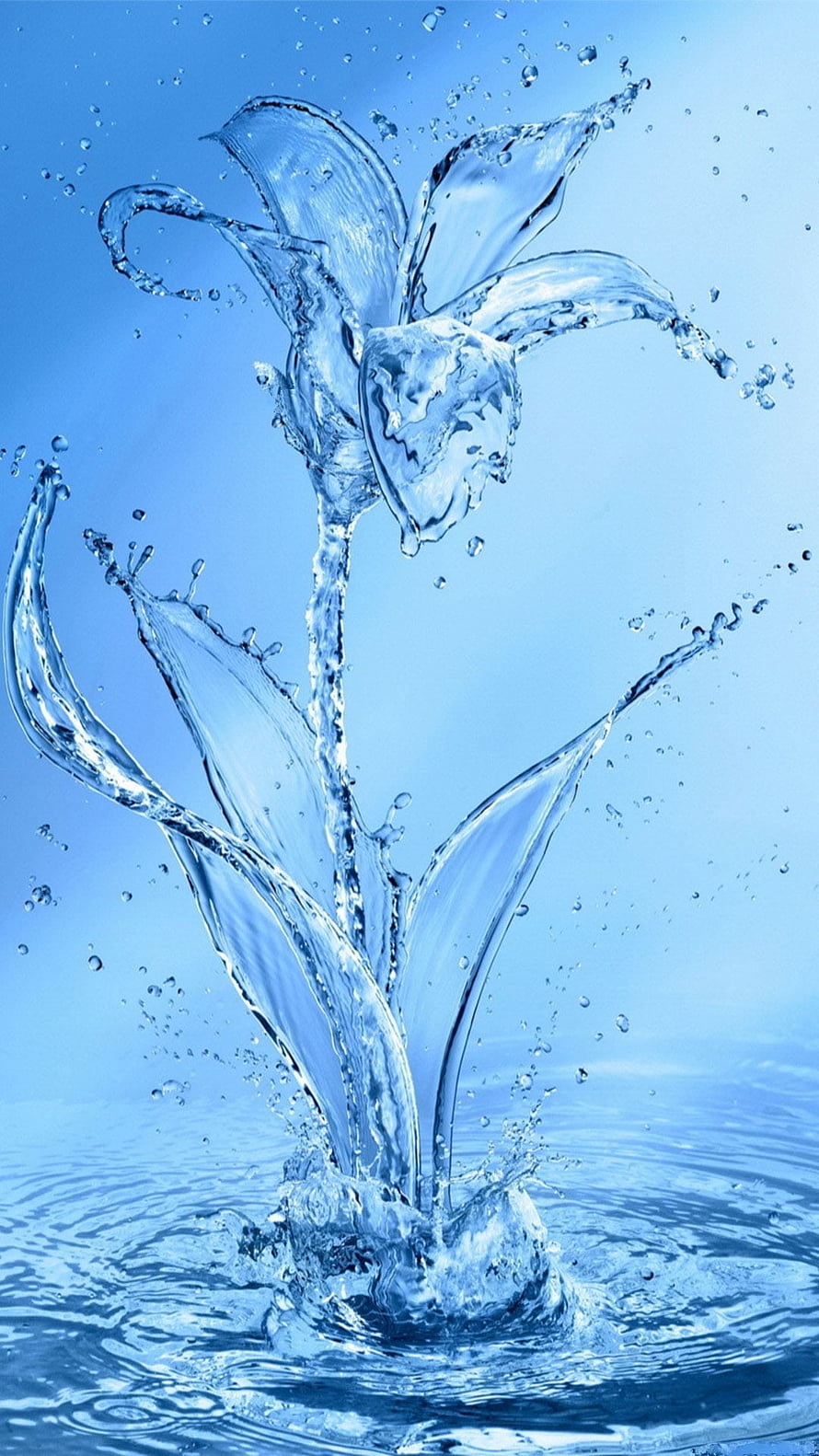 Elegant Water Lily Splash Sculpture on Blue Background HD phone wallpaper