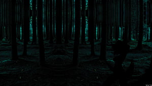 Dark Anime Forest Scene With Tall Trees And Mysterious Atmosphere HD wallpaper