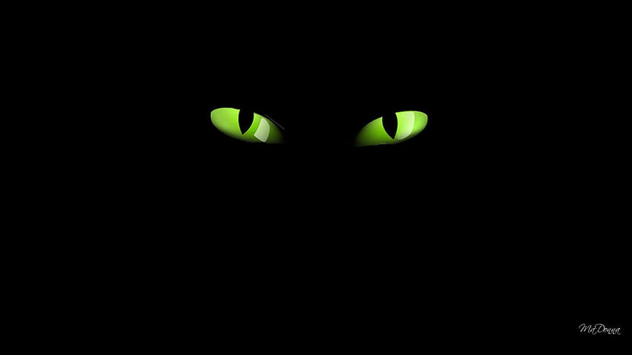 Glowing Green Cat Eyes Peering From Pitch Black Darkness HD wallpaper