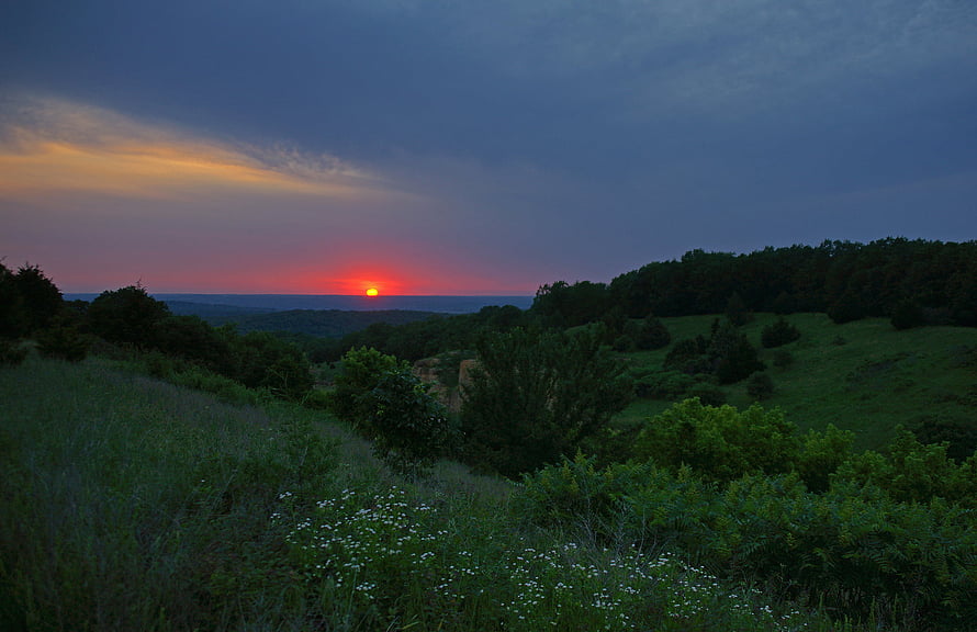 Dramatic Sunset Over Rolling Hills With Wildflowers And Dense Forest Silhouettes HD wallpaper
