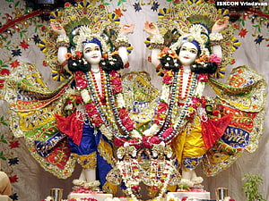 Gaura Nitai Deities at ISKCON Vrindavan Temple with Ornate Garlands and Jewelry HD wallpaper