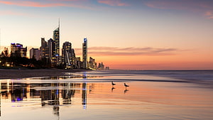 Surfers Paradise Beach at Golden Hour with Gold Coast Skyline Reflections HD wallpaper