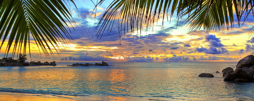 Tropical Beach Sunset Framed by Palm Fronds with Calm Ocean and Rocky Shoreline HD wallpaper