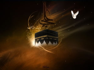 Sacred Kaaba in Mecca with Golden Light and Dove in Islamic Digital Art HD wallpaper