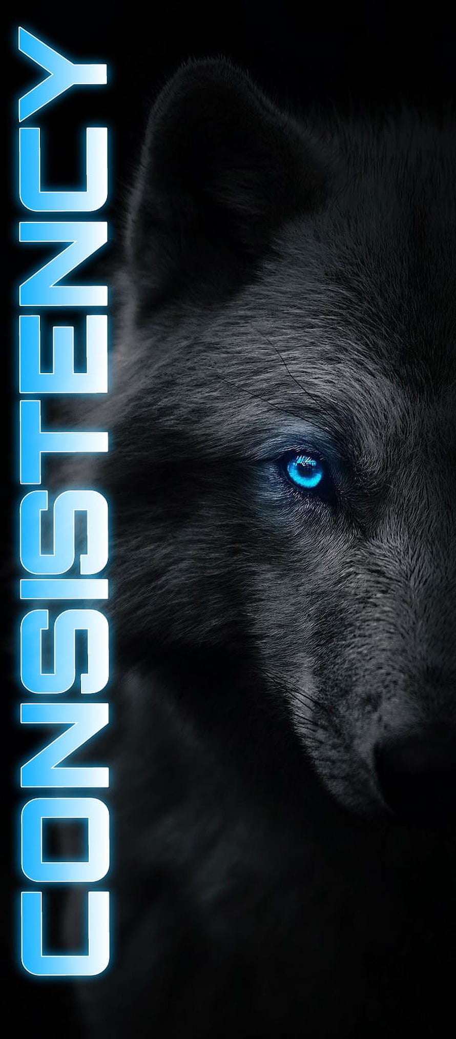 Black Wolf with Glowing Blue Eyes in Dark Moody Portrait HD phone wallpaper