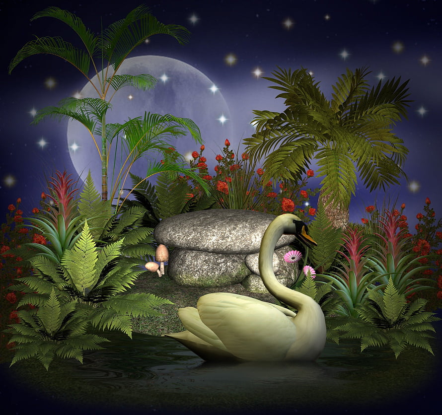 Majestic White Swan in a Lush Tropical Night Garden with Full Moon and Starry Sky HD wallpaper