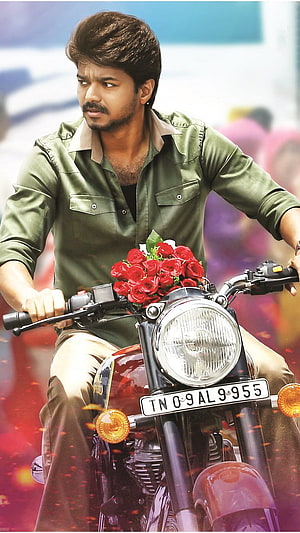 Vijay Thalapathy Riding a Royal Enfield Motorcycle with Red Roses HD phone wallpaper