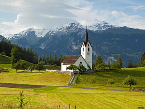 White Church with Clock Tower in Green Swiss Alpine Meadow HD wallpaper