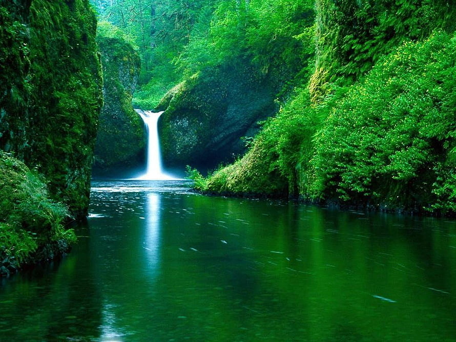 Serene Waterfall Cascading Into a Lush Green Forest Pool HD wallpaper