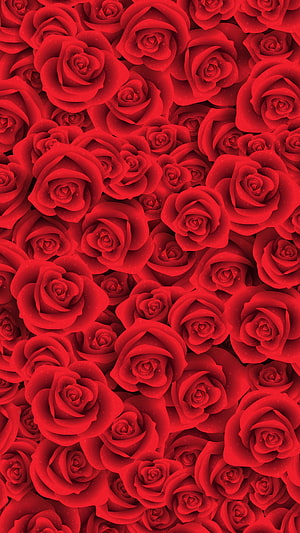 Vibrant Red Rose Pattern with Soft Petal Texture and Romantic Floral Design HD phone wallpaper