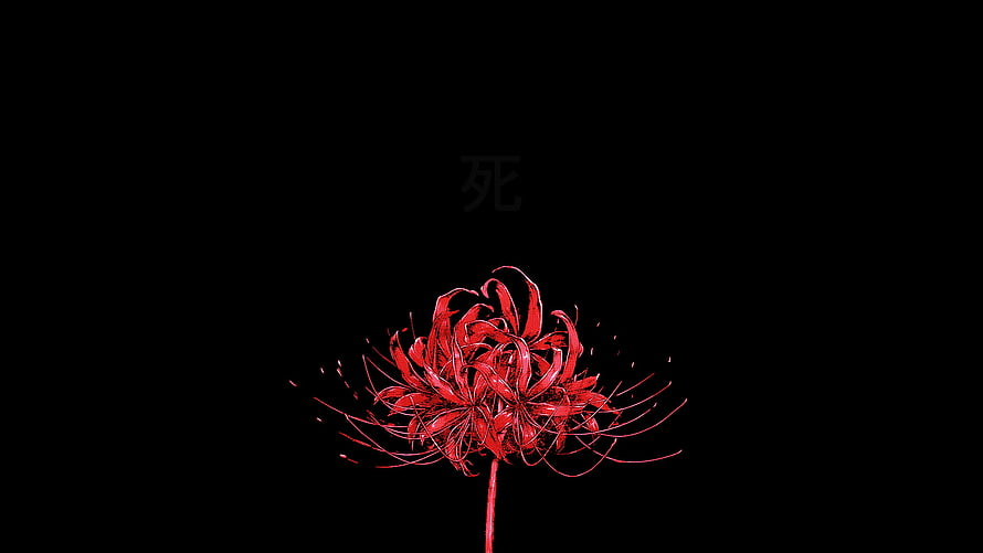 Tokyo Ghoul Red Spider Lily on Black Background HD wallpaper