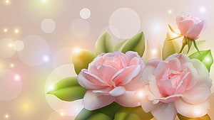 Delicate Pink Roses with Soft Green Leaves and Dreamy Bokeh Light Effects HD wallpaper