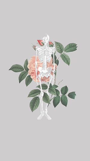 Minimalist Skeleton and Botanical Rose Illustration on Gray Background HD phone wallpaper