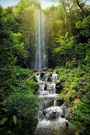 Tropical Jungle Waterfall Cascading Through Lush Green Foliage and Rocky Terrain HD phone wallpaper