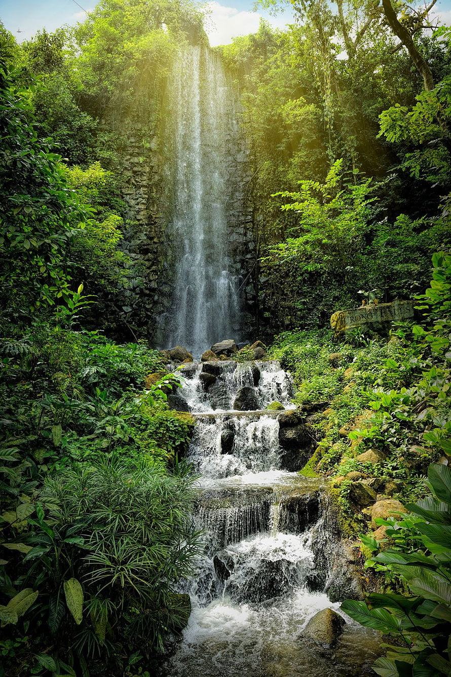 Tropical Jungle Waterfall Cascading Through Lush Green Foliage and Rocky Terrain HD phone wallpaper