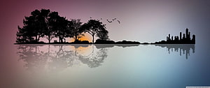 Silhouette of trees and city skyline reflected in calm water at sunset HD wallpaper