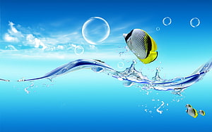 Butterflyfish Leaping Through Water Splash Against Blue Sky HD wallpaper