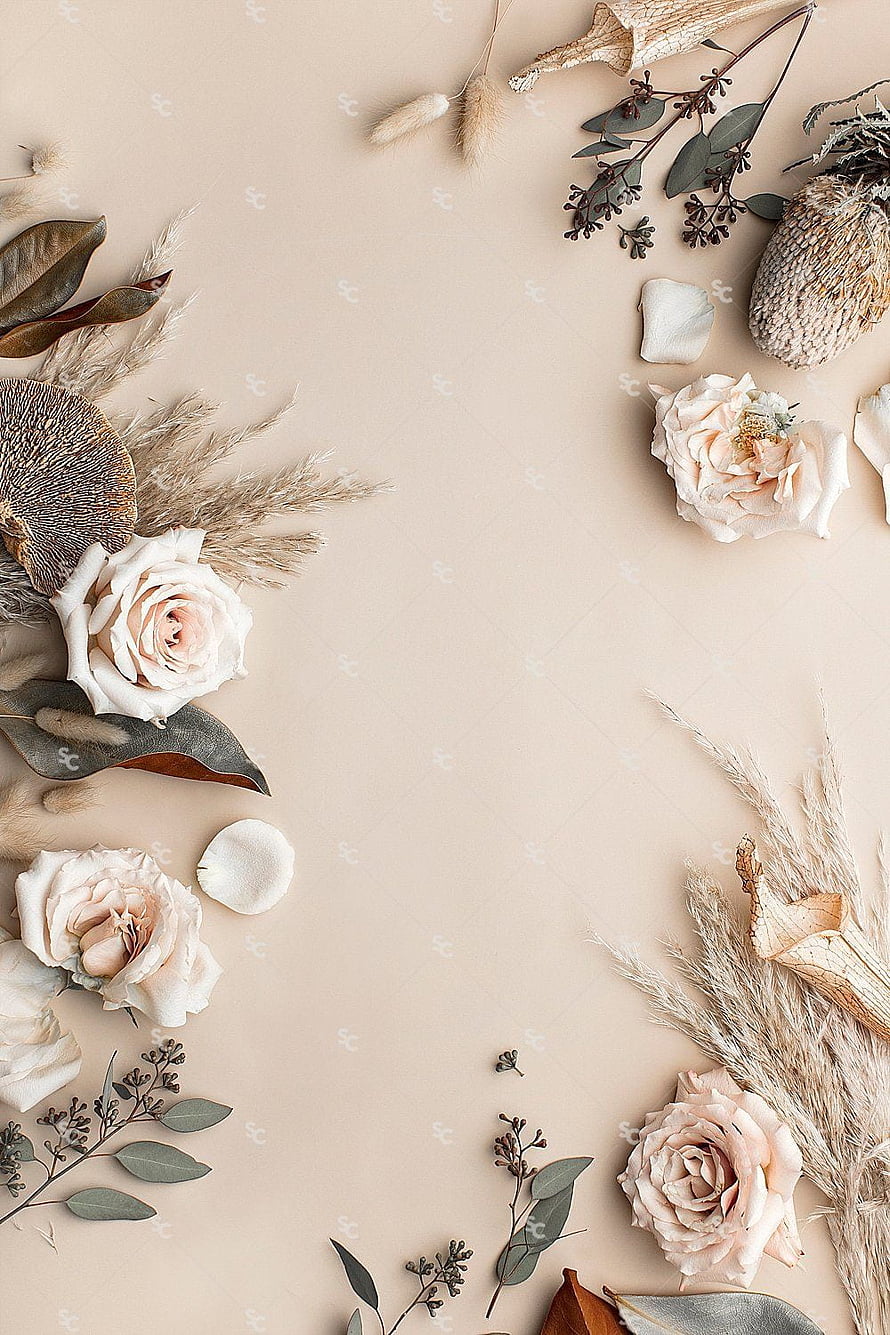 Neutral Dried Floral Arrangement with Pale Roses and Pampas Grass on Beige Background HD phone wallpaper
