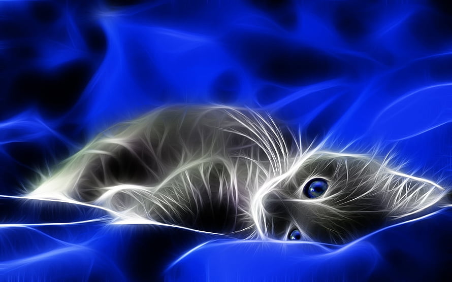 Glowing Cat Resting in Electric Blue Digital Art HD wallpaper