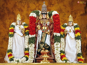 Tirupati Venkateswara Swamy Temple Deity with Flower Garlands and Attendants HD wallpaper