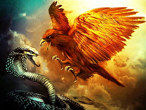 Eagle and Cobra Confrontation in Dramatic Sky HD wallpaper