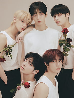 TXT K-Pop Group Portrait in White Tank Tops with Red Roses HD phone wallpaper