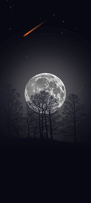 Full Moon Rising Over Silhouetted Trees with Shooting Star in Night Sky HD phone wallpaper