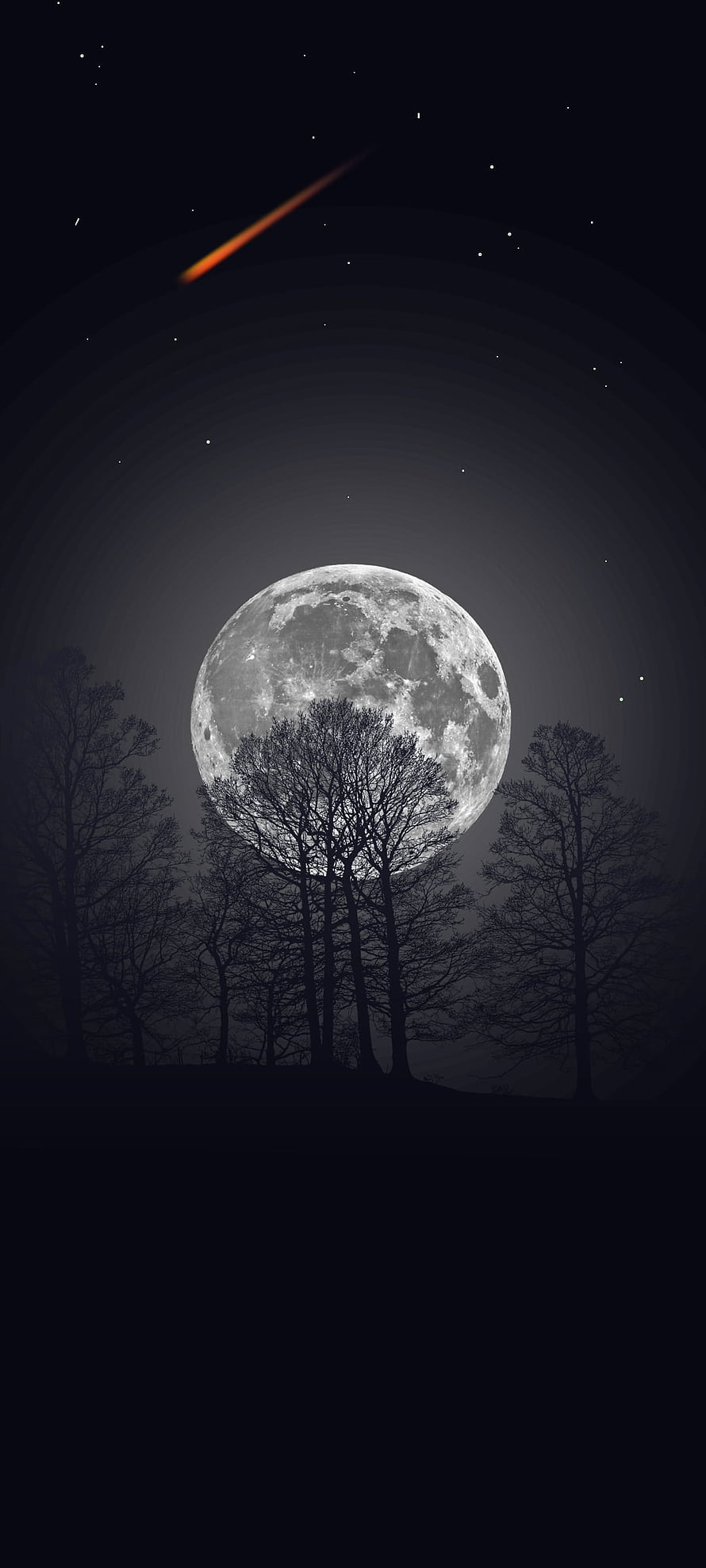 Full Moon Rising Over Silhouetted Trees with Shooting Star in Night Sky HD phone wallpaper
