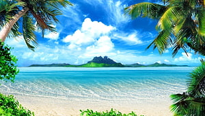 Tropical Paradise Beach with Palm Trees and Turquoise Ocean Water HD wallpaper