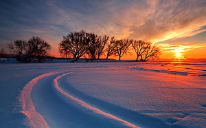 Winter Sunset Over Snowy Field With Bare Trees And Curving Snow Tracks HD wallpaper