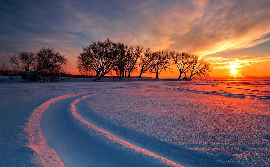 Winter Sunset Over Snowy Field With Bare Trees And Curving Snow Tracks HD wallpaper